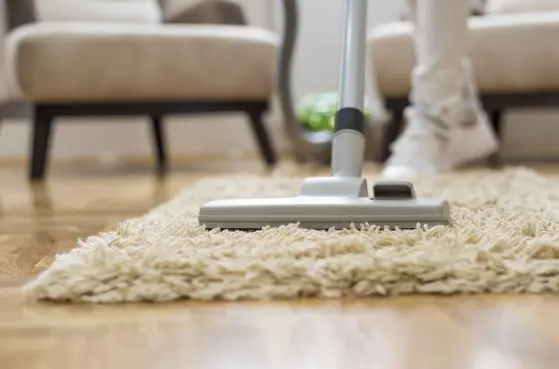 Pet Owners' Guide to Carpet Cleaning