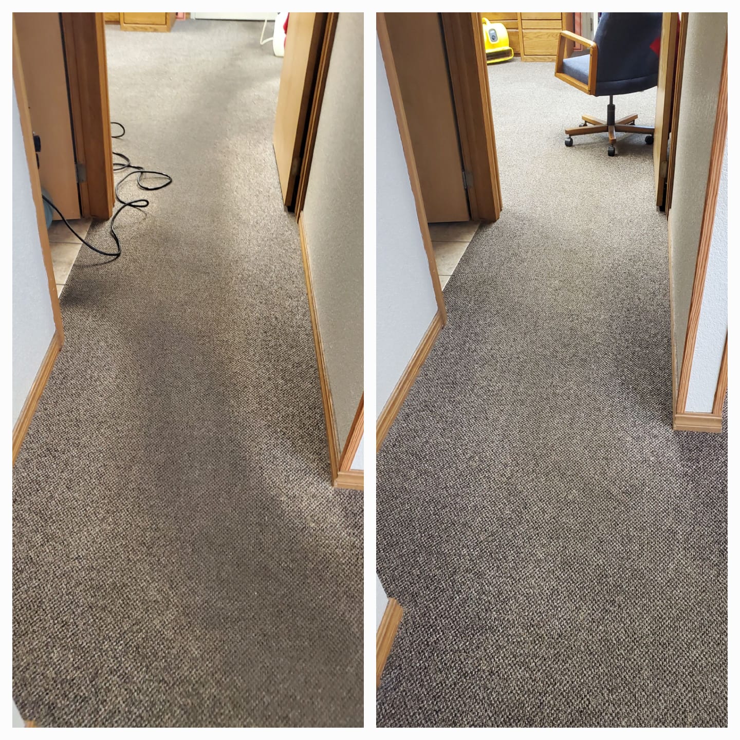 Carpet Cleaning Done 2